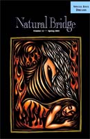 Natural Bridge 15 cover image